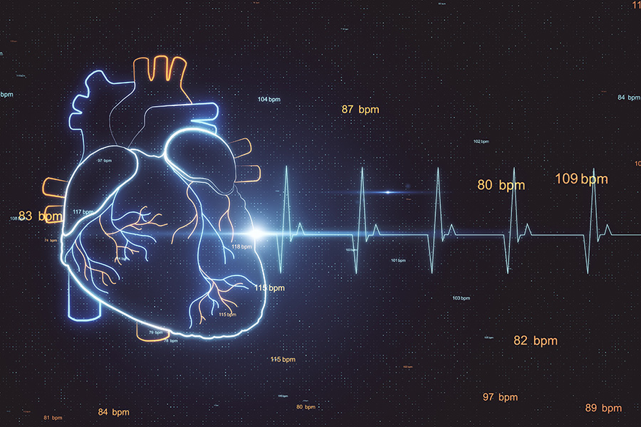 monitoring ekg serca kredos